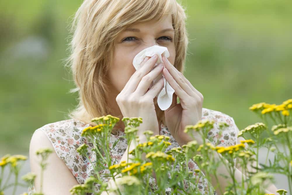What Is Pollen And Where Does It Come From? TGH Urgent Care