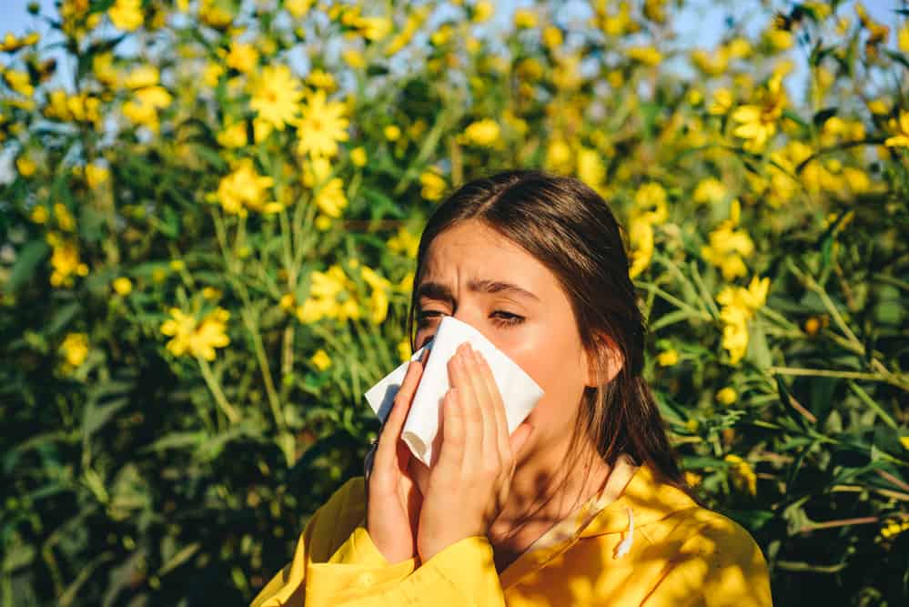 Allergy Season In Tampa Bay Whats Blooming And The Effects of The Different Types Of Pollen