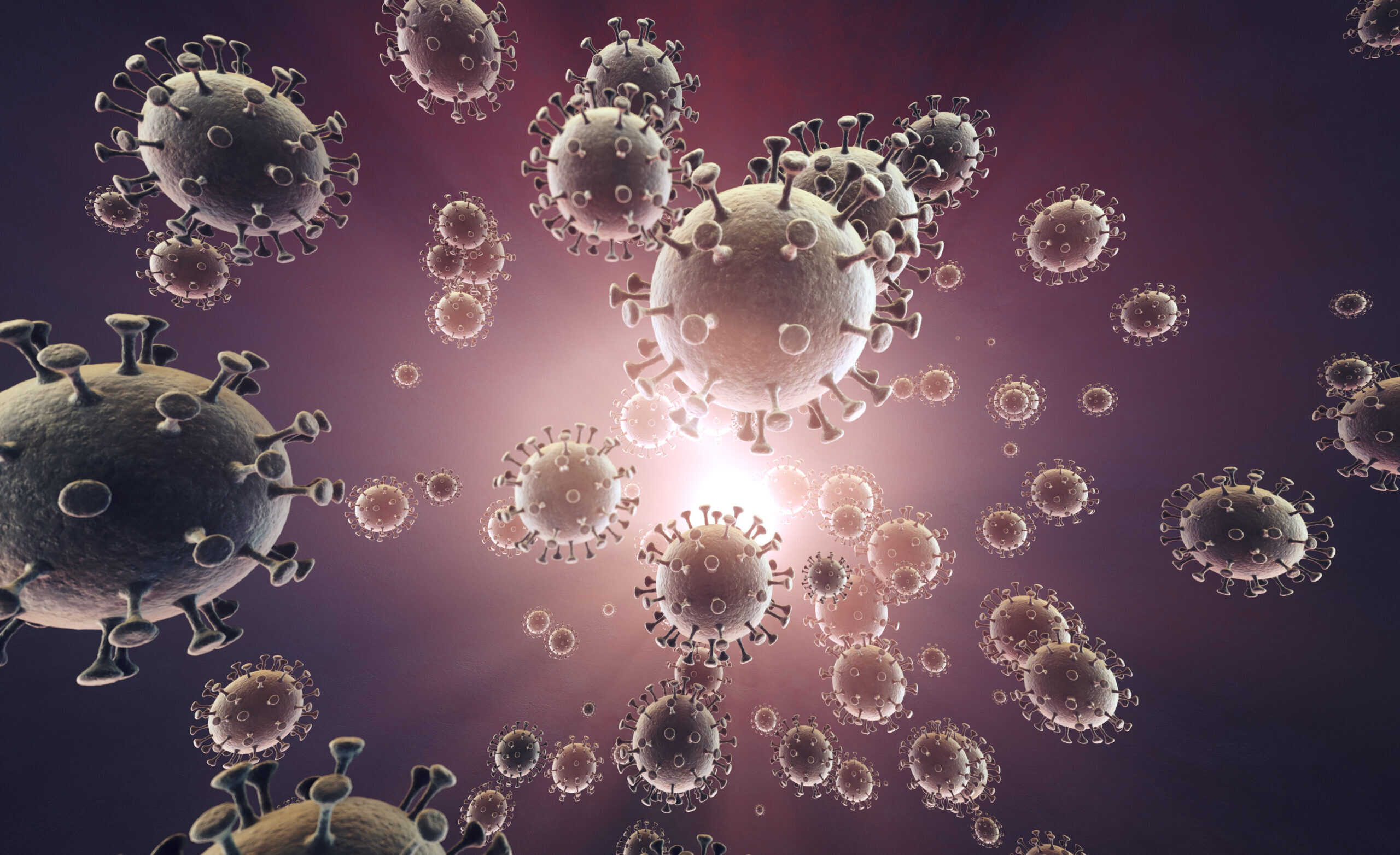 Why Measles Is Spreading Again and Who’s Most at Risk